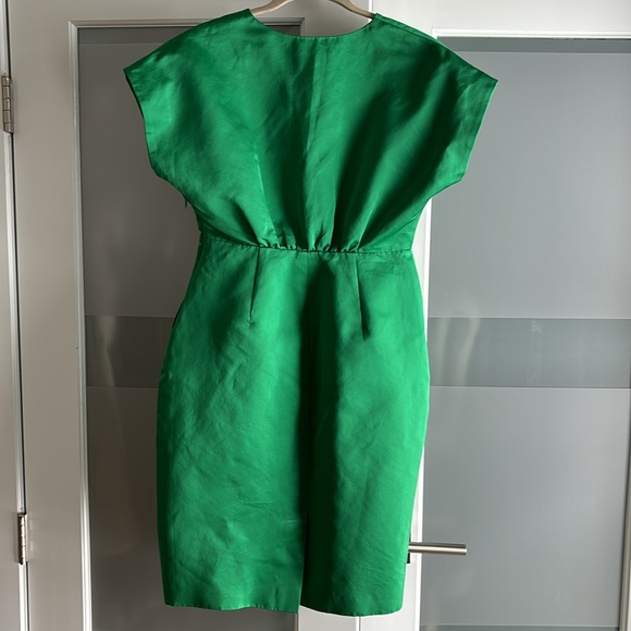 Gorgeous JCREW Collection Party Dress - Picture 3 of 7